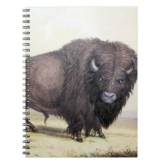 Bull Buffalo Notizblock (Vorderseite)
