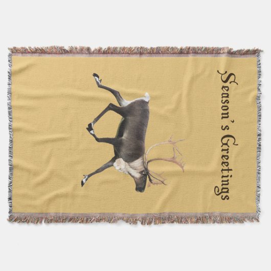 Bull Caribbean Decke (Vorderseite)