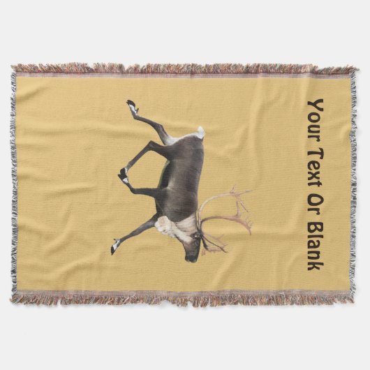 Bull Caribbean Decke (Vorderseite)