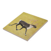 Bull Caribbean Fliese (Seite)