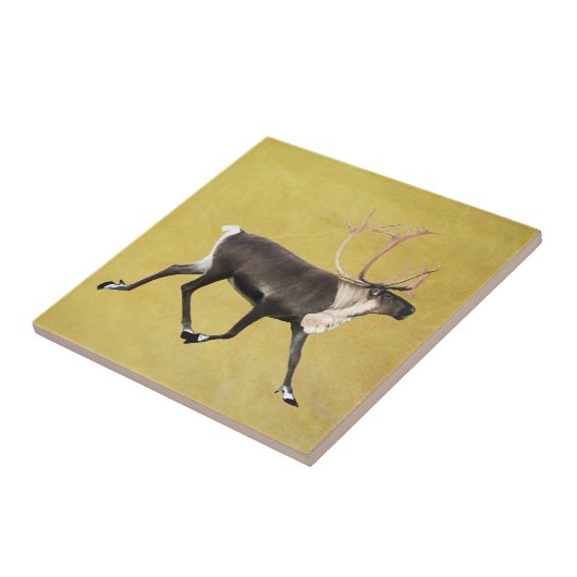 Bull Caribbean Fliese (Seite)