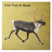 Bull Caribbean Fliese (Vorderseite)