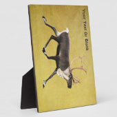 Bull Caribbean Fotoplatte (Seite)