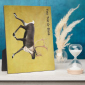 Bull Caribbean Fotoplatte (Seite)