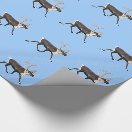 Bull Caribbean Geschenkpapier (Ecke)