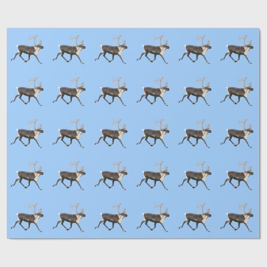 Bull Caribbean Geschenkpapier (Flach)