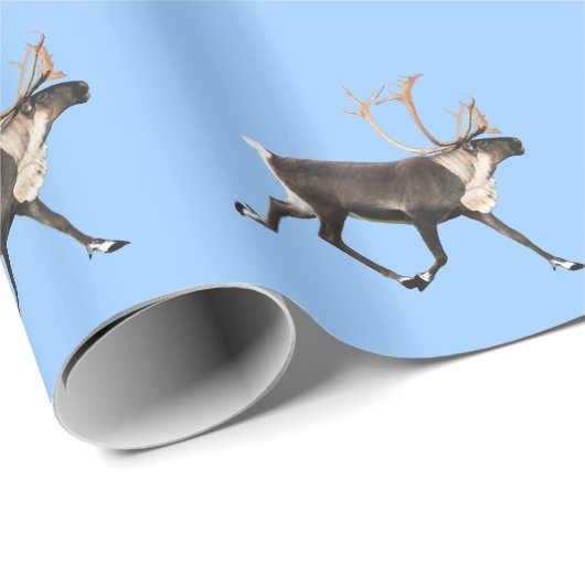 Bull Caribbean Geschenkpapier (Rolleneckpunkt)