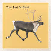 Bull Caribbean Glasuntersetzer (Vorderseite)