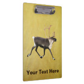 Bull Caribbean Klemmbrett (Rechts)