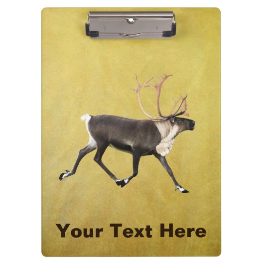 Bull Caribbean Klemmbrett (Vorderseite)