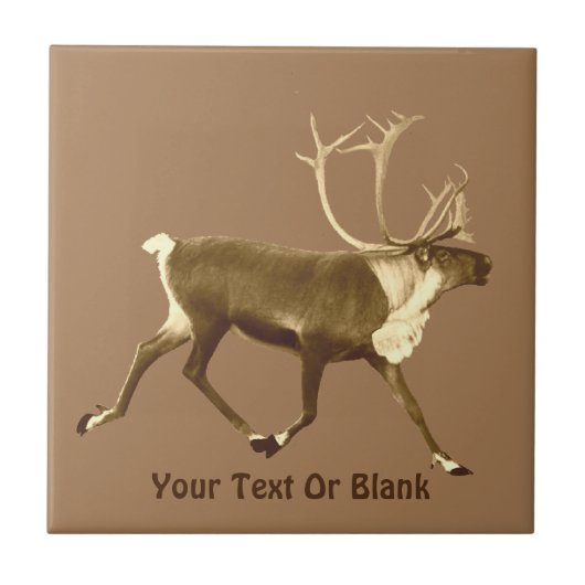 Bull Caribbean - Sepia Fliese (Vorderseite)