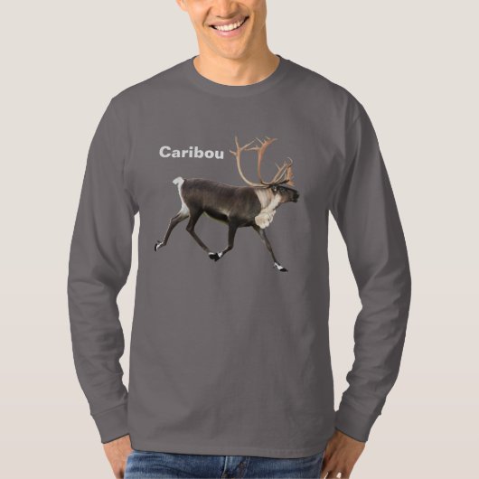 Bull Caribbean T-Shirt (Vorderseite)