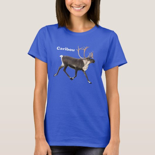 Bull Caribbean T-Shirt (Vorderseite)