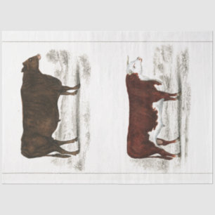 Bull Cow Ephemera Decoupage Vintag Seidenpapier