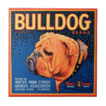 Bull Dog auf blauem Hintergrund Fliese<br><div class="desc">Ein Vintages Kratetikett, das einen Bulldog mit einem blauen gemusterten Hintergrund und einem orangefarbenen Rand illustriert. Wählen Sie diesen Kunstdruck auf Ihrem Zazzle-Produkt heute.</div>