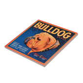 Bull Dog auf blauem Hintergrund Fliese (Seite)