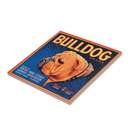 Bull Dog auf blauem Hintergrund Fliese (Seite)