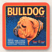 Bull Dog auf blauem Hintergrund Getränkeuntersetzer (Vorderseite)