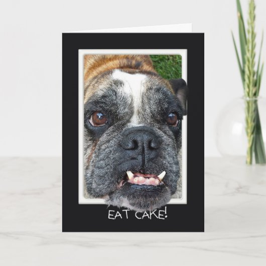 Bull Dog Birthday humor Karte (Vorderseite)