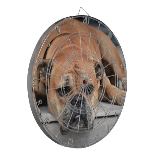 Bull Dog Dartscheibe (Vorderseite Links)