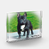 Bull Dog Fotoblock (Links)