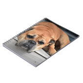 Bull Dog Notizblock (Linke Seite)