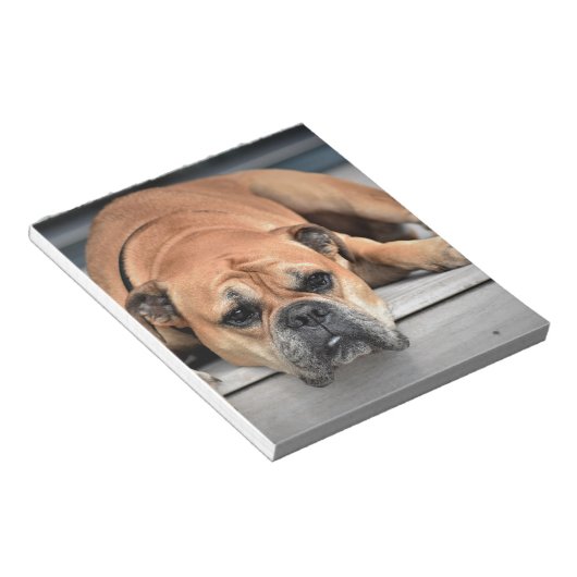 Bull Dog Notizblock (angewinkelt)