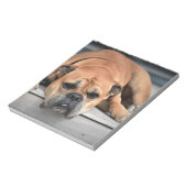 Bull Dog Notizblock (Rotiert)