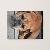 Bull Dog Puzzle (Horizontal)
