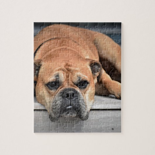 Bull Dog Puzzle (Vertikal)