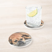 Bull Dog Untersetzer (Seite)