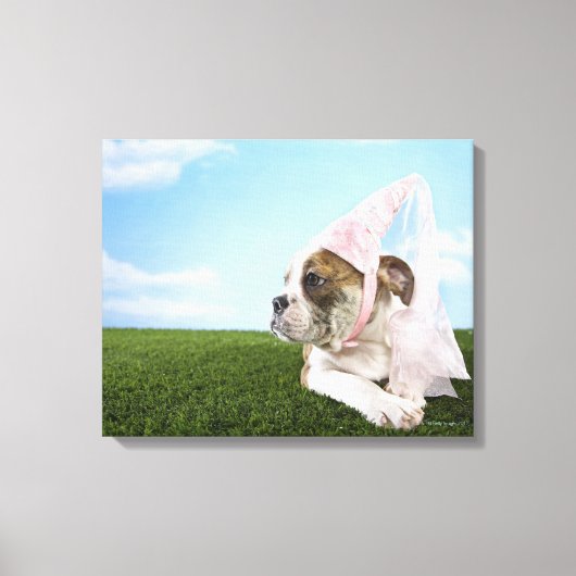 Bull Dog Welpenprinzessin Leinwanddruck (Vorderseite)