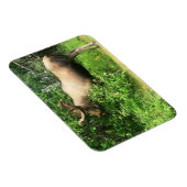 Bull Elch 3" x 4" Flexibles Foto Magnet (Rechte Seite)