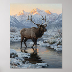 Bull-Elch, der durch den schneebedeckten Fluss bei Poster