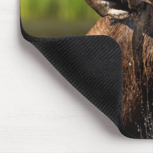 Bull-Elch fütternd im Glacier-Nationalpark Mousepad (Ecke)