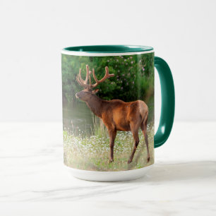 Bull-Elch im National Bison Range, Montana Tasse
