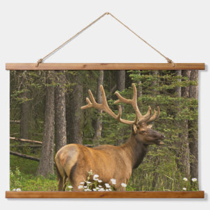 Bull-Elch in Samt, Kanada Wandteppich Mit Holzrahmen