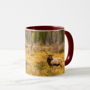 Bull-Elch Rocky Mountain National Park Colorado Tasse