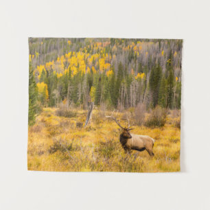 Bull-Elch   Rocky Mountain National Park Colorado Wandteppich