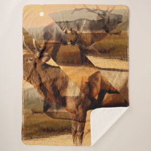 Bull-Elch-Sonnenaufgang-Collage Sherpadecke