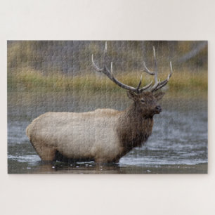 Bull-Elch überquert   Yellowstone-Nationalpark Puzzle