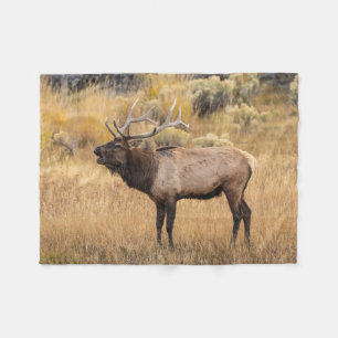 Bull-Elch   Yellowstone-Nationalpark Fleecedecke