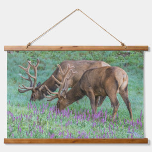 Bull Elche Rocky Mountain National Park, Colorado Wandteppich Mit Holzrahmen