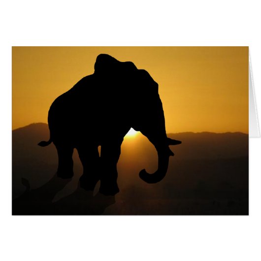 Bull Elefant (Vorderseite (Horizontal))