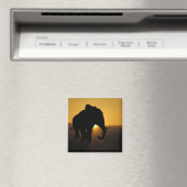 Bull Elefant Magnet (In Situ (Geschirrspüler))