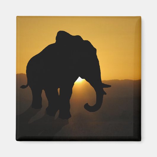 Bull Elefant Magnet (Vorne)
