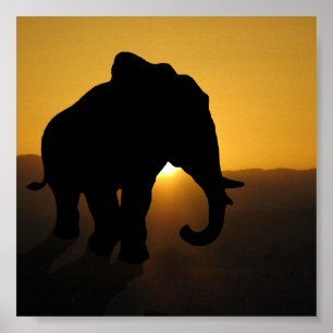 Bull Elefant Poster