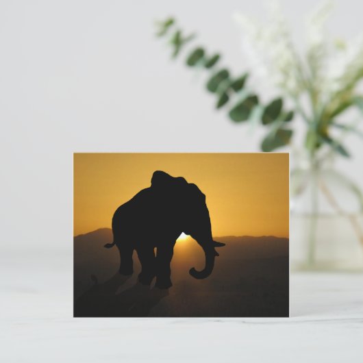 Bull Elefant Postkarte (Stehend Vorderseite)