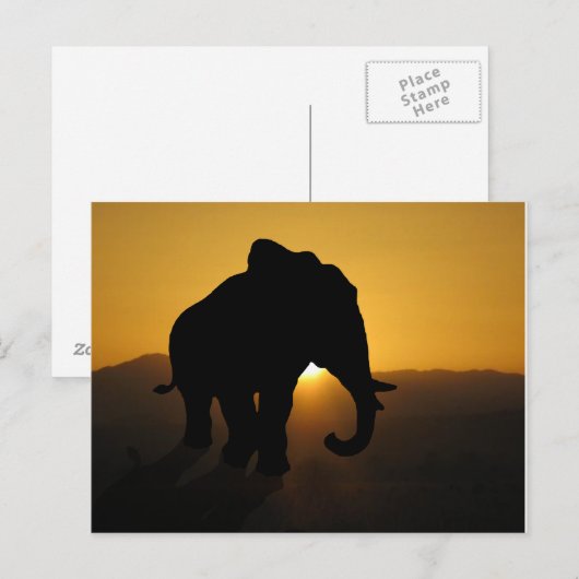 Bull Elefant Postkarte (Vorne/Hinten)