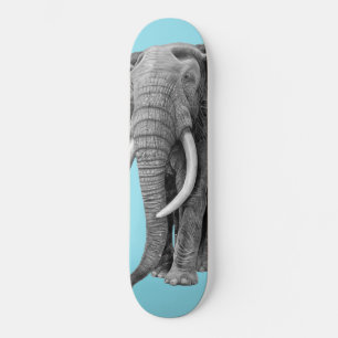Bull Elefant - Zeichnend im Bleistift Skateboard